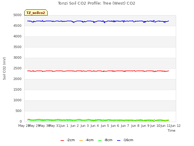 plot of Tonzi Soil CO2 Profile: Tree (West) CO2