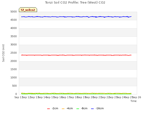 plot of Tonzi Soil CO2 Profile: Tree (West) CO2