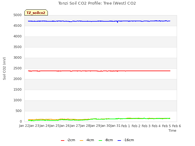 plot of Tonzi Soil CO2 Profile: Tree (West) CO2