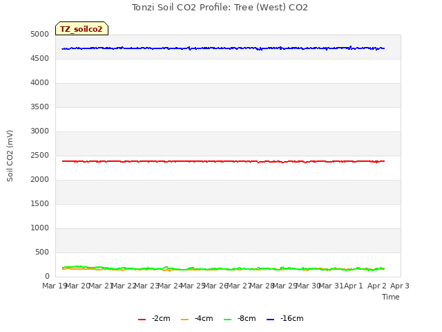 plot of Tonzi Soil CO2 Profile: Tree (West) CO2