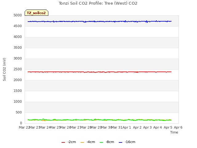 plot of Tonzi Soil CO2 Profile: Tree (West) CO2