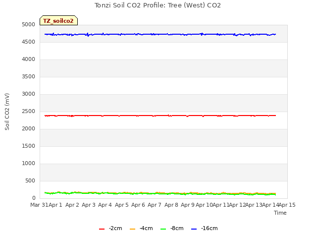 plot of Tonzi Soil CO2 Profile: Tree (West) CO2
