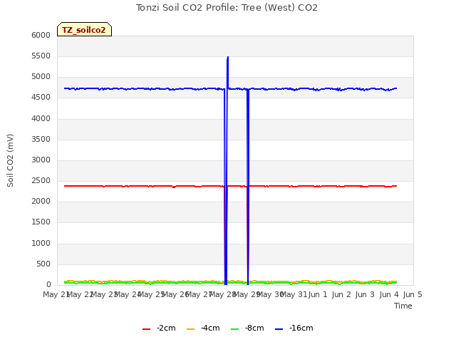 plot of Tonzi Soil CO2 Profile: Tree (West) CO2