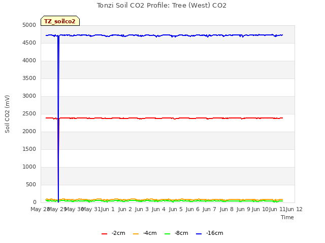 plot of Tonzi Soil CO2 Profile: Tree (West) CO2