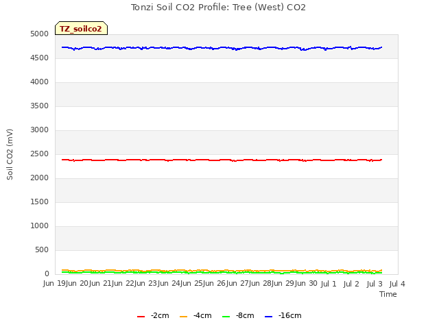 plot of Tonzi Soil CO2 Profile: Tree (West) CO2