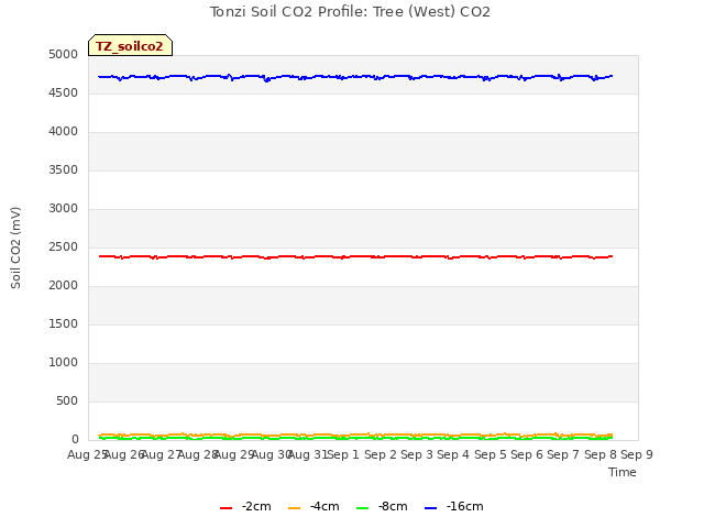 plot of Tonzi Soil CO2 Profile: Tree (West) CO2