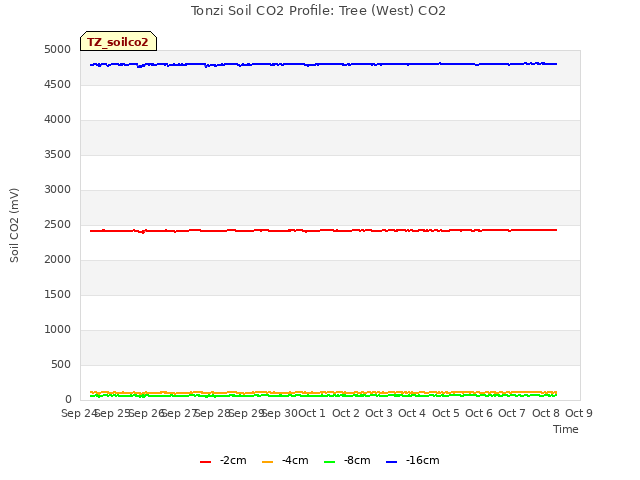 plot of Tonzi Soil CO2 Profile: Tree (West) CO2