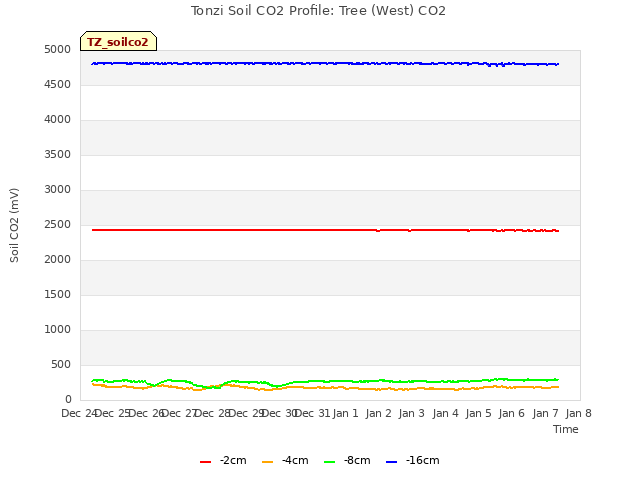 plot of Tonzi Soil CO2 Profile: Tree (West) CO2