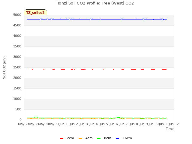 plot of Tonzi Soil CO2 Profile: Tree (West) CO2