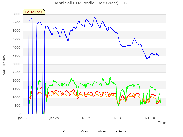 Explore the graph:Tonzi Soil CO2 Profile: Tree (West) CO2 in a new window