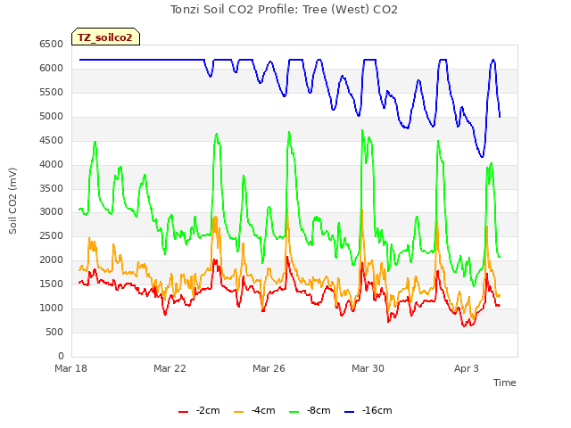 Explore the graph:Tonzi Soil CO2 Profile: Tree (West) CO2 in a new window
