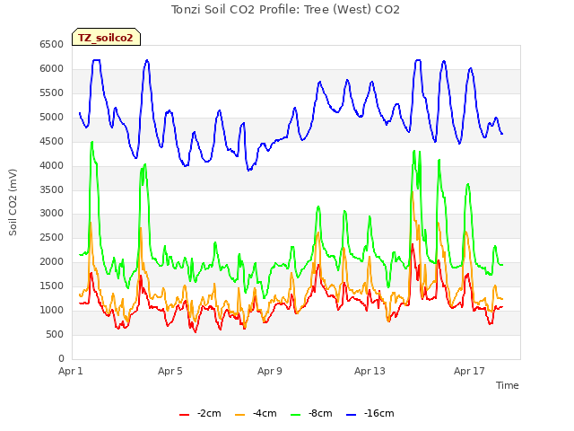 Explore the graph:Tonzi Soil CO2 Profile: Tree (West) CO2 in a new window