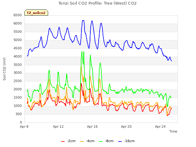 Explore the graph:Tonzi Soil CO2 Profile: Tree (West) CO2 in a new window
