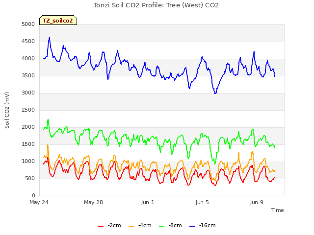 Explore the graph:Tonzi Soil CO2 Profile: Tree (West) CO2 in a new window