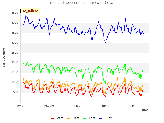 Explore the graph:Tonzi Soil CO2 Profile: Tree (West) CO2 in a new window