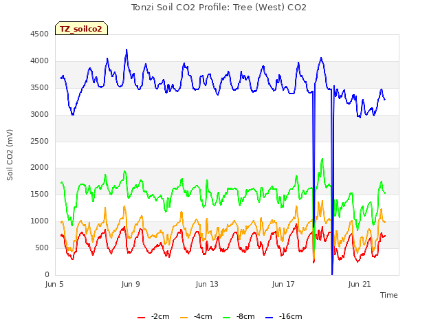 Explore the graph:Tonzi Soil CO2 Profile: Tree (West) CO2 in a new window