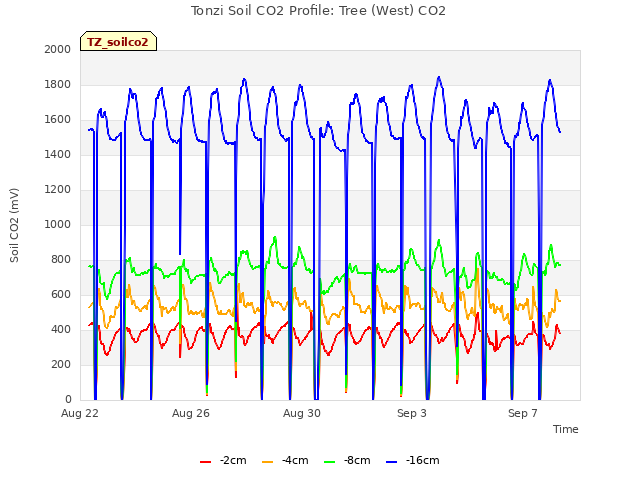 Explore the graph:Tonzi Soil CO2 Profile: Tree (West) CO2 in a new window