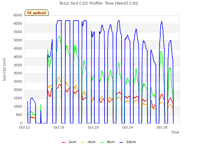 Explore the graph:Tonzi Soil CO2 Profile: Tree (West) CO2 in a new window