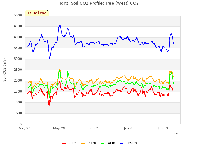 Explore the graph:Tonzi Soil CO2 Profile: Tree (West) CO2 in a new window
