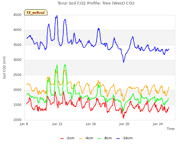Explore the graph:Tonzi Soil CO2 Profile: Tree (West) CO2 in a new window