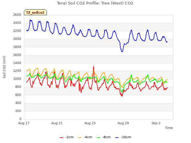 Explore the graph:Tonzi Soil CO2 Profile: Tree (West) CO2 in a new window