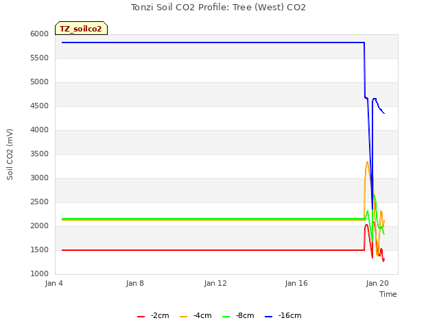 Explore the graph:Tonzi Soil CO2 Profile: Tree (West) CO2 in a new window