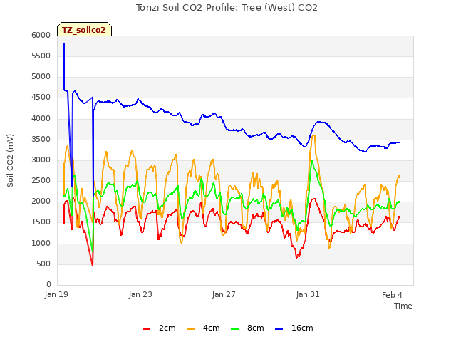 Explore the graph:Tonzi Soil CO2 Profile: Tree (West) CO2 in a new window