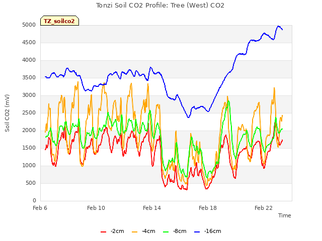 Explore the graph:Tonzi Soil CO2 Profile: Tree (West) CO2 in a new window