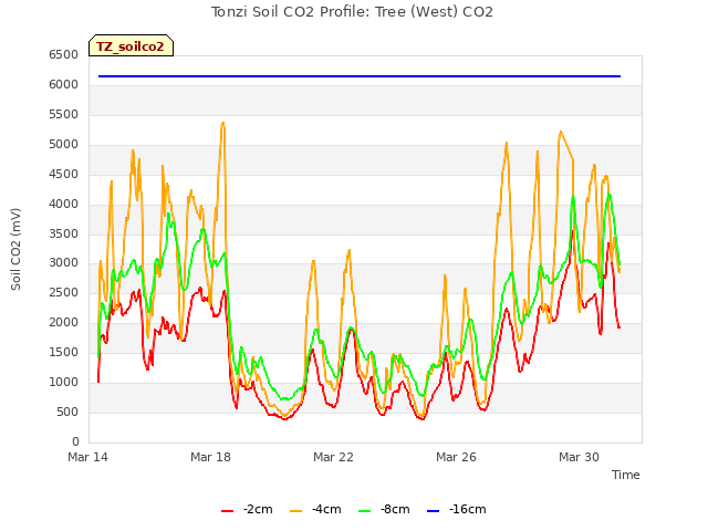 Explore the graph:Tonzi Soil CO2 Profile: Tree (West) CO2 in a new window