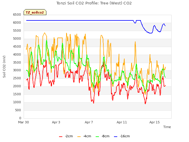 Explore the graph:Tonzi Soil CO2 Profile: Tree (West) CO2 in a new window
