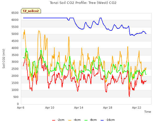 Explore the graph:Tonzi Soil CO2 Profile: Tree (West) CO2 in a new window