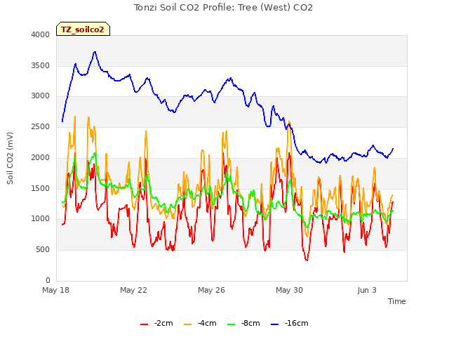 Explore the graph:Tonzi Soil CO2 Profile: Tree (West) CO2 in a new window