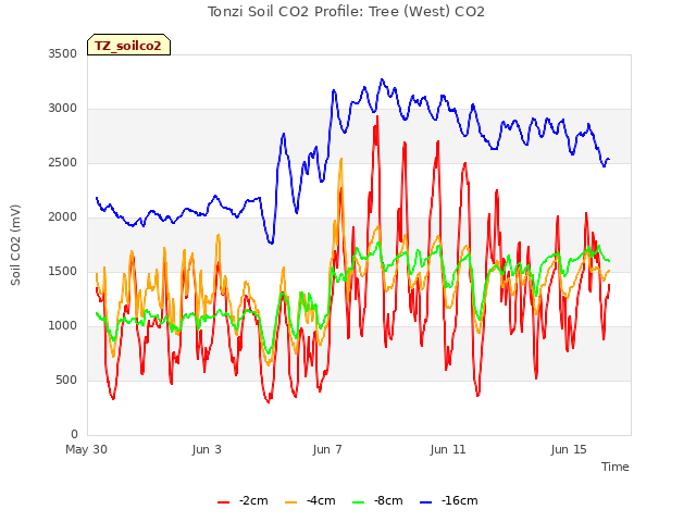 Explore the graph:Tonzi Soil CO2 Profile: Tree (West) CO2 in a new window