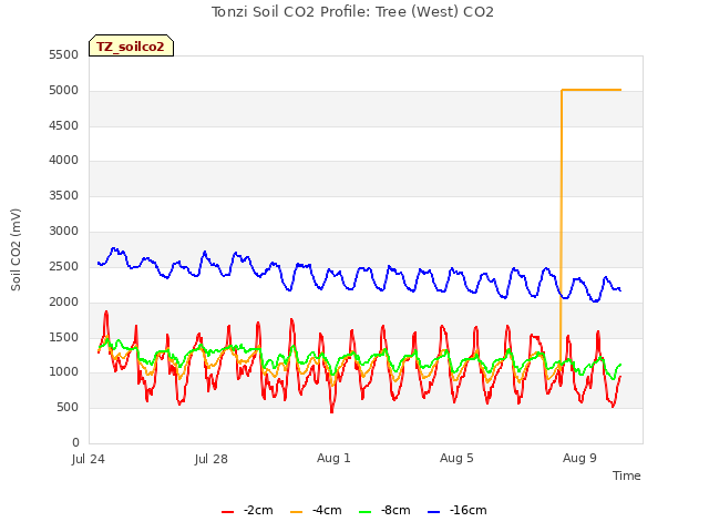 Explore the graph:Tonzi Soil CO2 Profile: Tree (West) CO2 in a new window