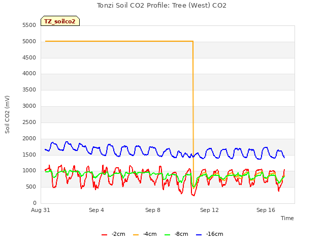 Explore the graph:Tonzi Soil CO2 Profile: Tree (West) CO2 in a new window