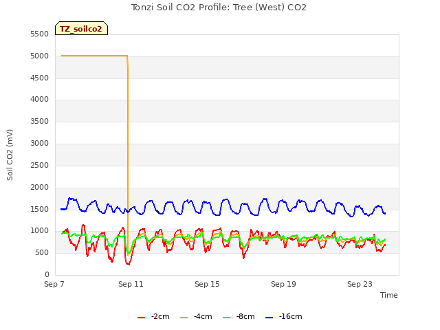 Explore the graph:Tonzi Soil CO2 Profile: Tree (West) CO2 in a new window