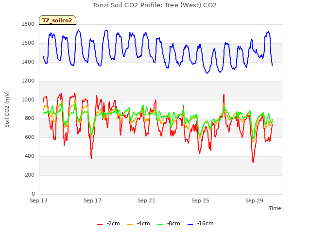 Explore the graph:Tonzi Soil CO2 Profile: Tree (West) CO2 in a new window