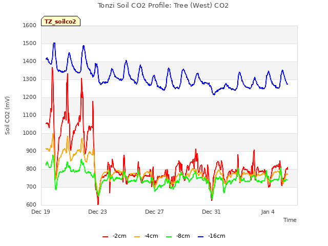 Explore the graph:Tonzi Soil CO2 Profile: Tree (West) CO2 in a new window