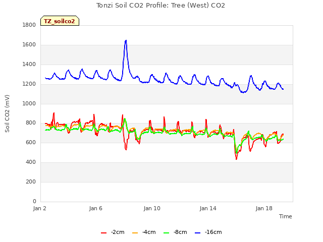 Explore the graph:Tonzi Soil CO2 Profile: Tree (West) CO2 in a new window