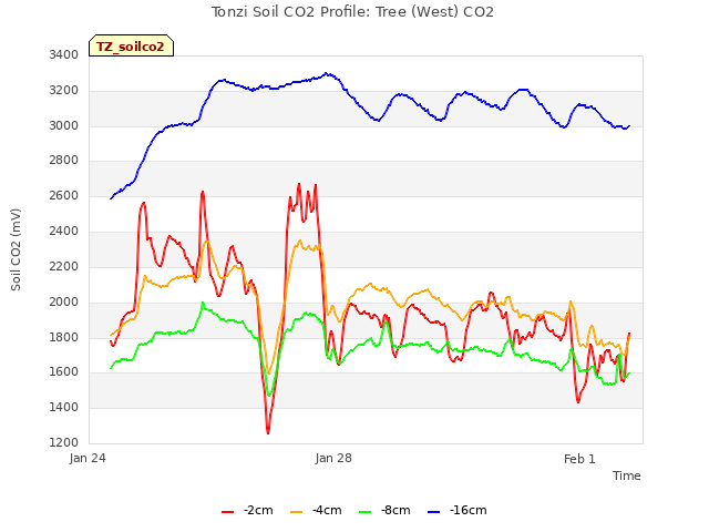 Explore the graph:Tonzi Soil CO2 Profile: Tree (West) CO2 in a new window