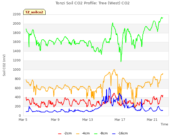 Explore the graph:Tonzi Soil CO2 Profile: Tree (West) CO2 in a new window