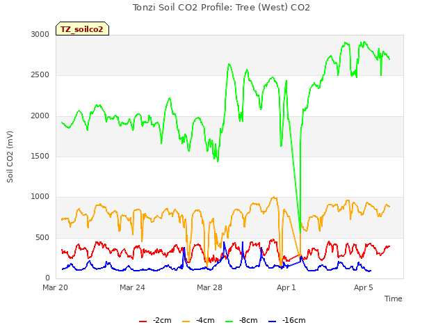 Explore the graph:Tonzi Soil CO2 Profile: Tree (West) CO2 in a new window