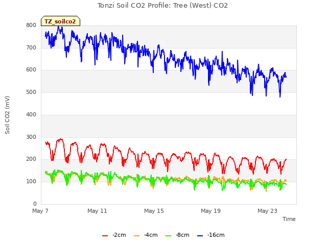 Explore the graph:Tonzi Soil CO2 Profile: Tree (West) CO2 in a new window