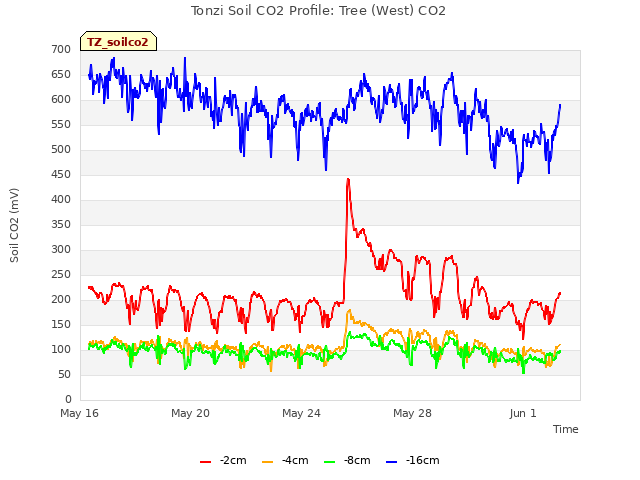 Explore the graph:Tonzi Soil CO2 Profile: Tree (West) CO2 in a new window