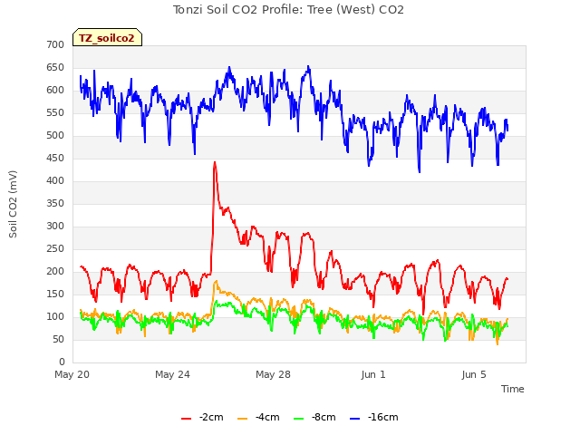 Explore the graph:Tonzi Soil CO2 Profile: Tree (West) CO2 in a new window