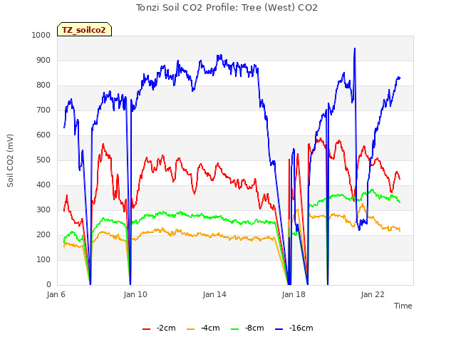 Explore the graph:Tonzi Soil CO2 Profile: Tree (West) CO2 in a new window