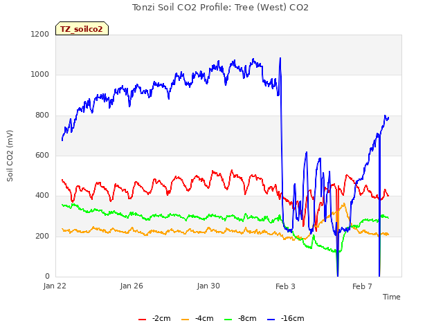 Explore the graph:Tonzi Soil CO2 Profile: Tree (West) CO2 in a new window