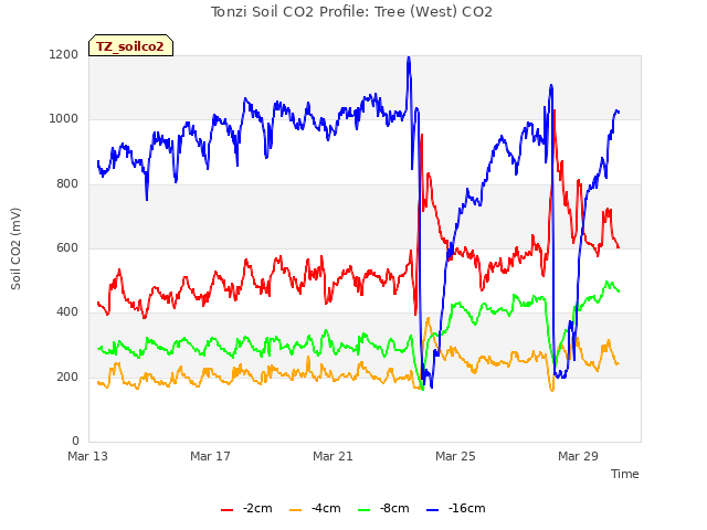 Explore the graph:Tonzi Soil CO2 Profile: Tree (West) CO2 in a new window