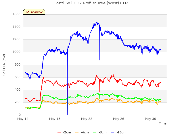 Explore the graph:Tonzi Soil CO2 Profile: Tree (West) CO2 in a new window