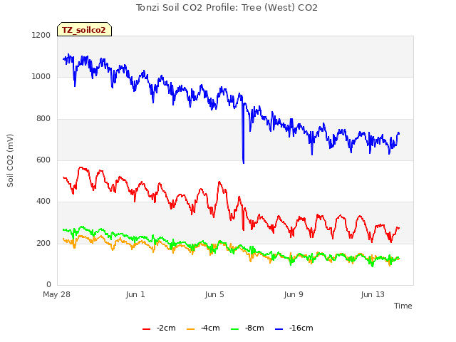 Explore the graph:Tonzi Soil CO2 Profile: Tree (West) CO2 in a new window